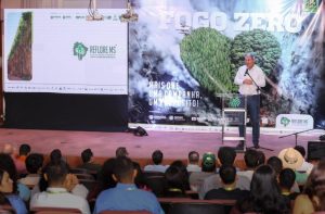 Fogo Zero: campanha de combate a incêndios é…