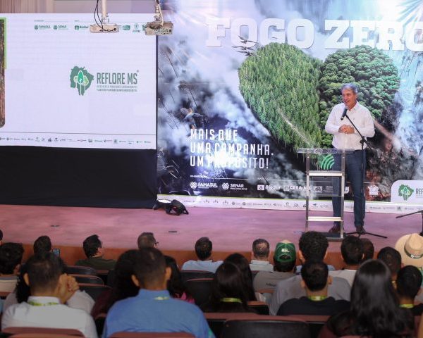 Fogo Zero: campanha de combate a incêndios é…